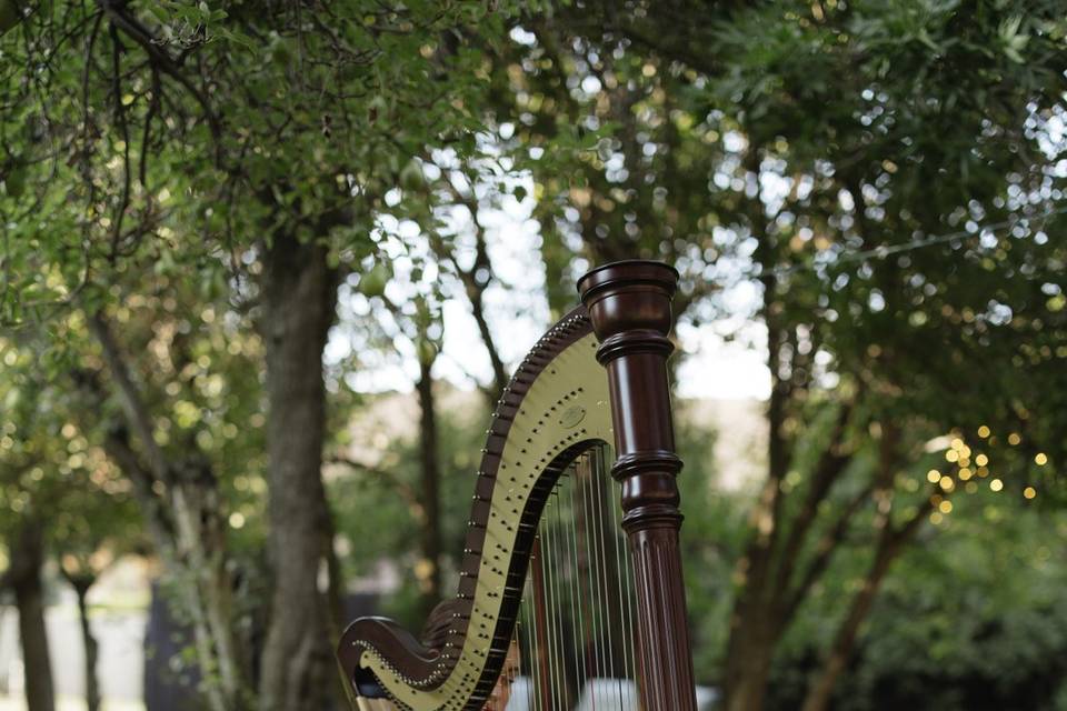 Utah Harpist