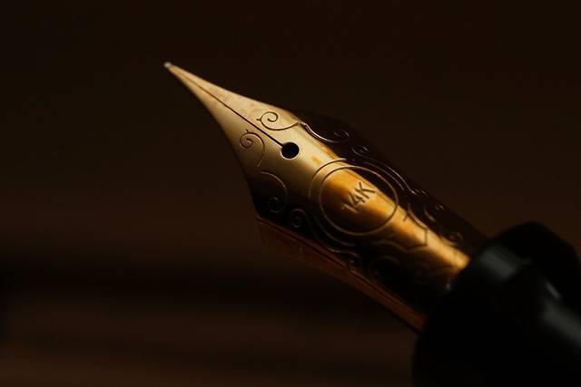 VIP NOTARIES, LLC
