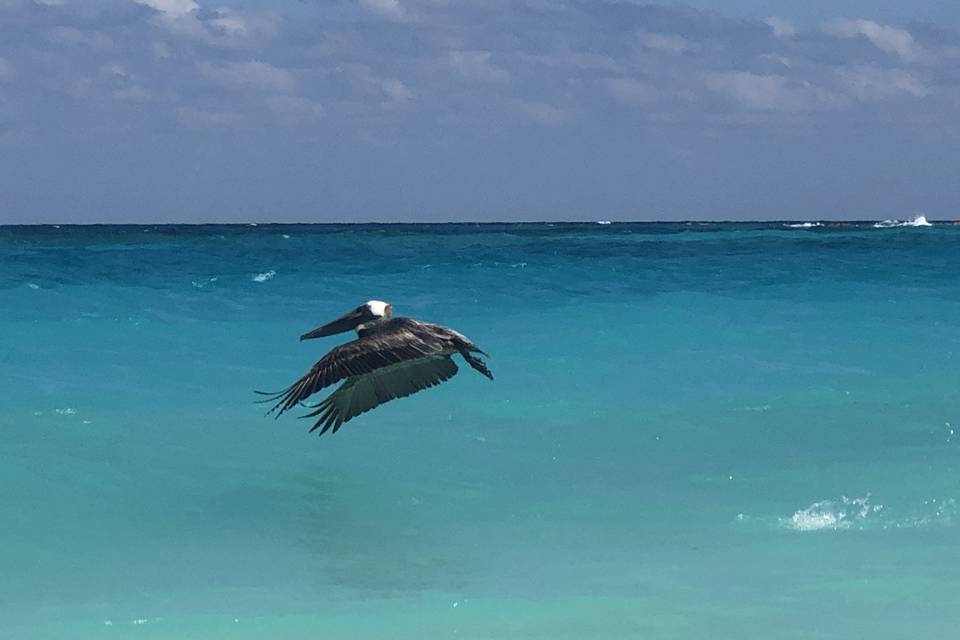 Mexico