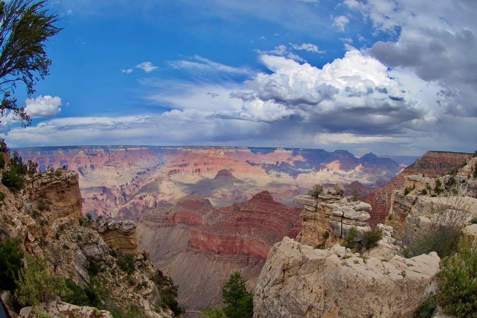 Landscape - Grand Canyon