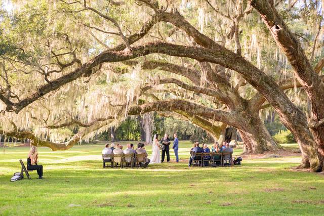 Magnolia Plantation