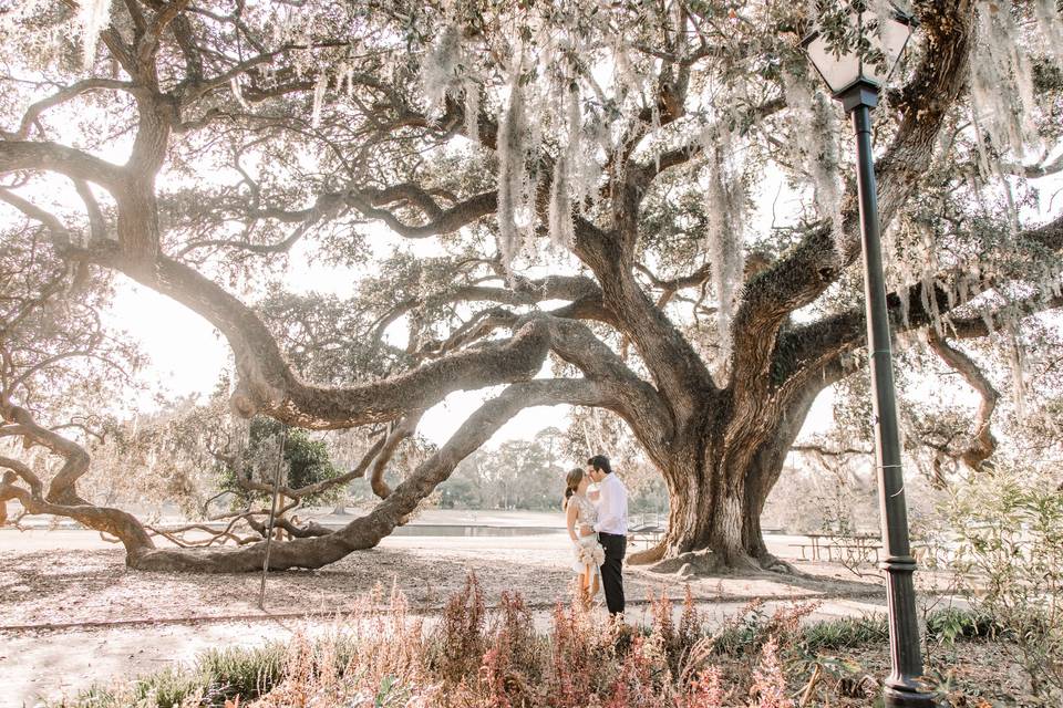 Downtown Charleston