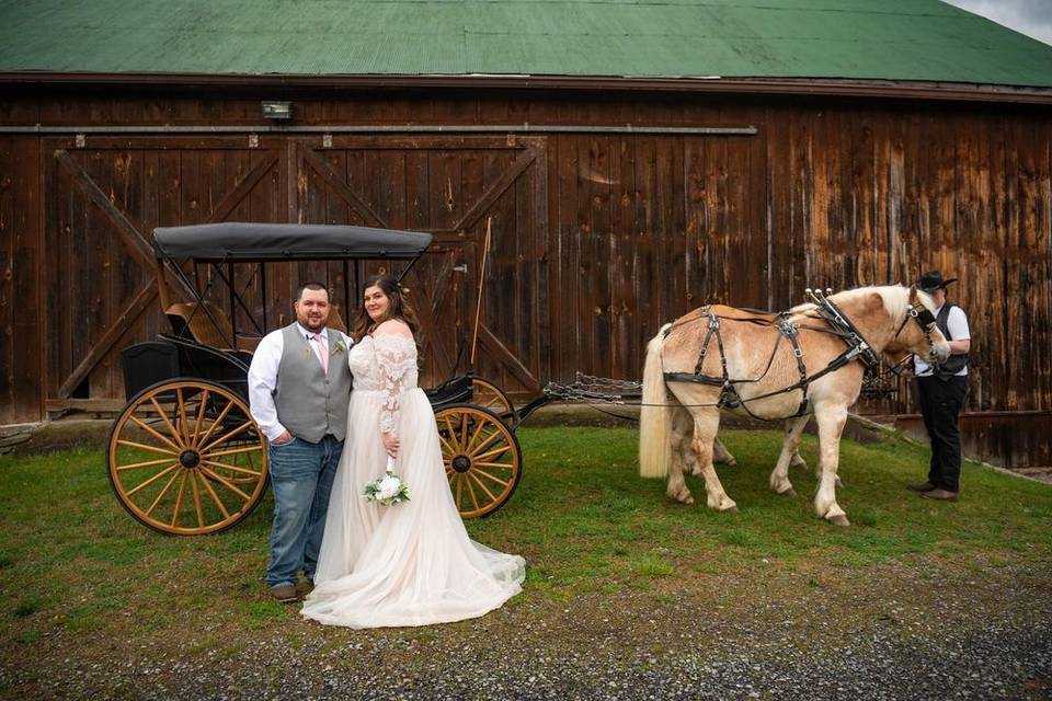 Horses and Carriage