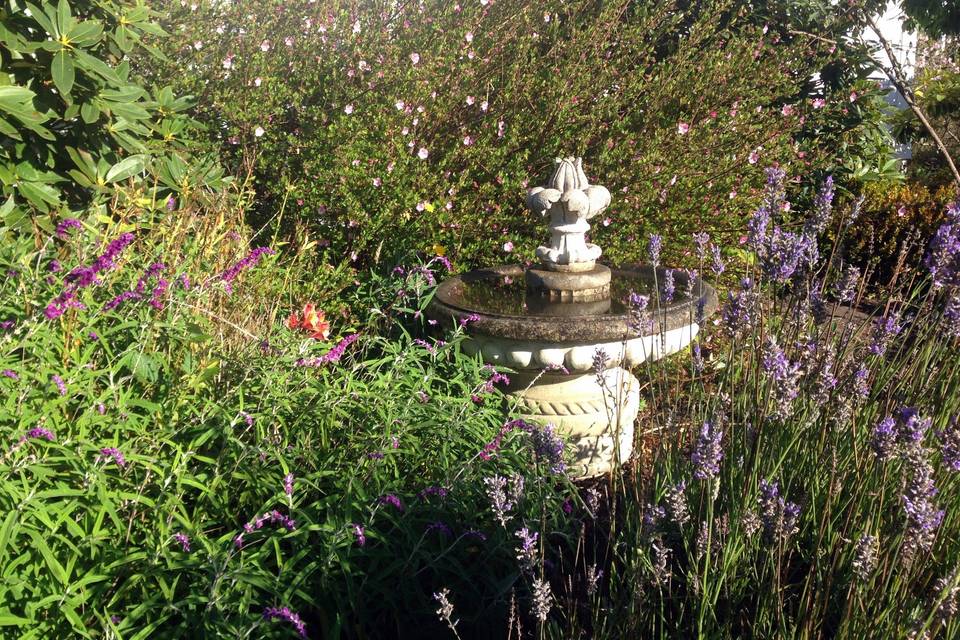 Weller House west bird & butterfly gardens, birdbath