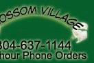 Blossom Village, LLC