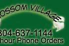 Blossom Village, LLC