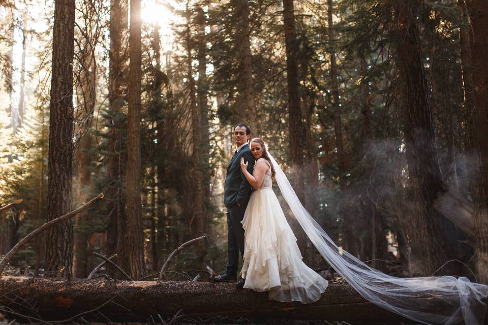 Yosemite-Wedding-Photographer