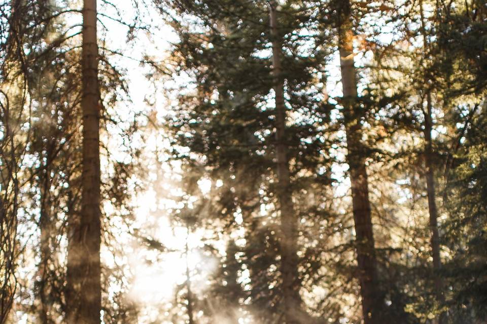 Yosemite-Wedding-Photographer