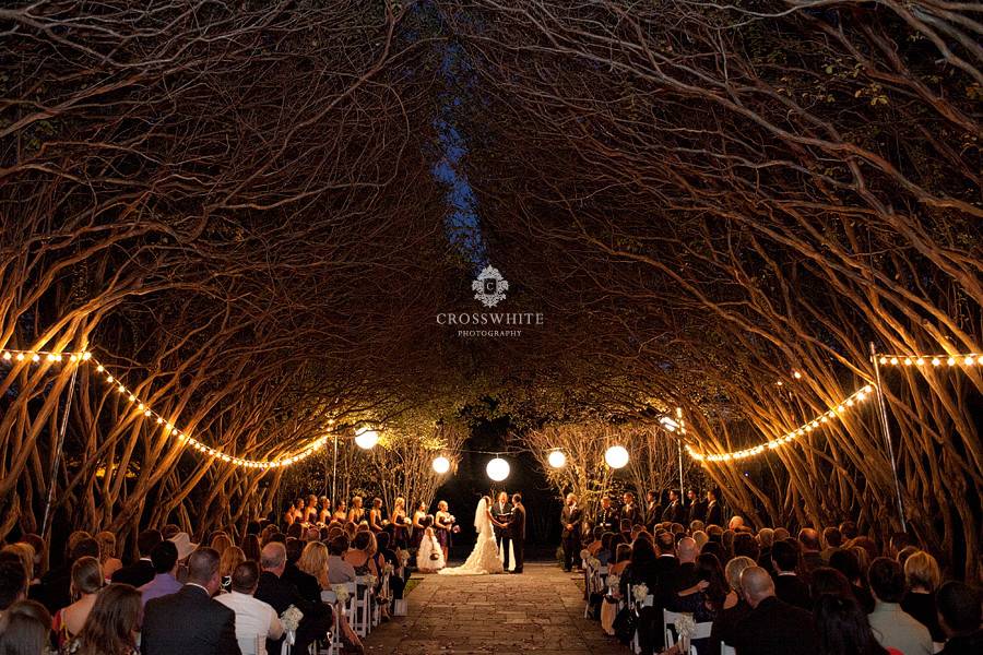 Wedding under a roof of branches