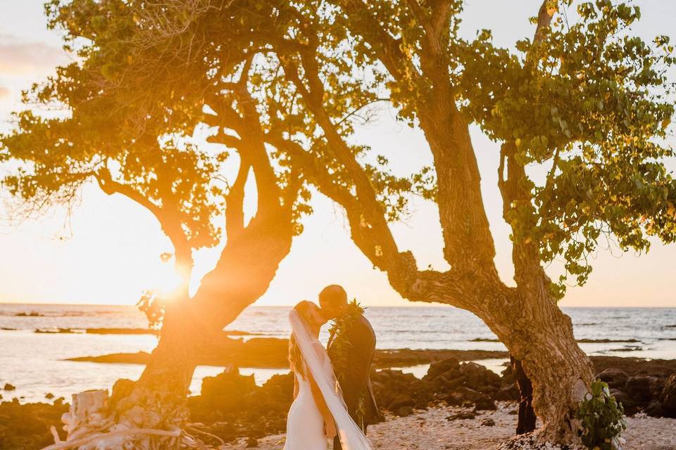 Ceremony + arch