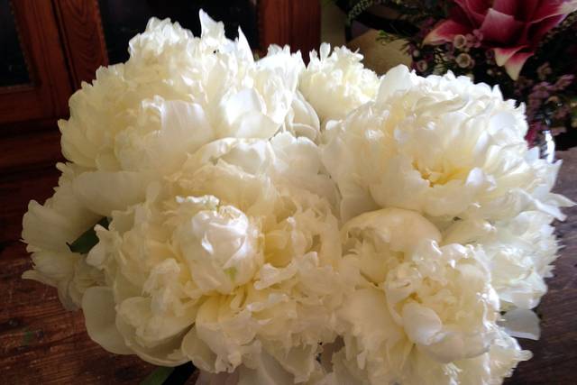 Floral Designs by Inez