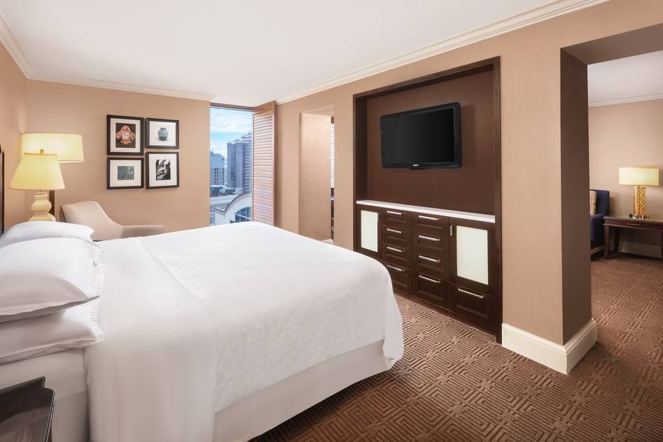 Executive Suite - Guest Room