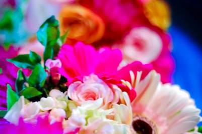 A Special Touch Flowers & Gifts
