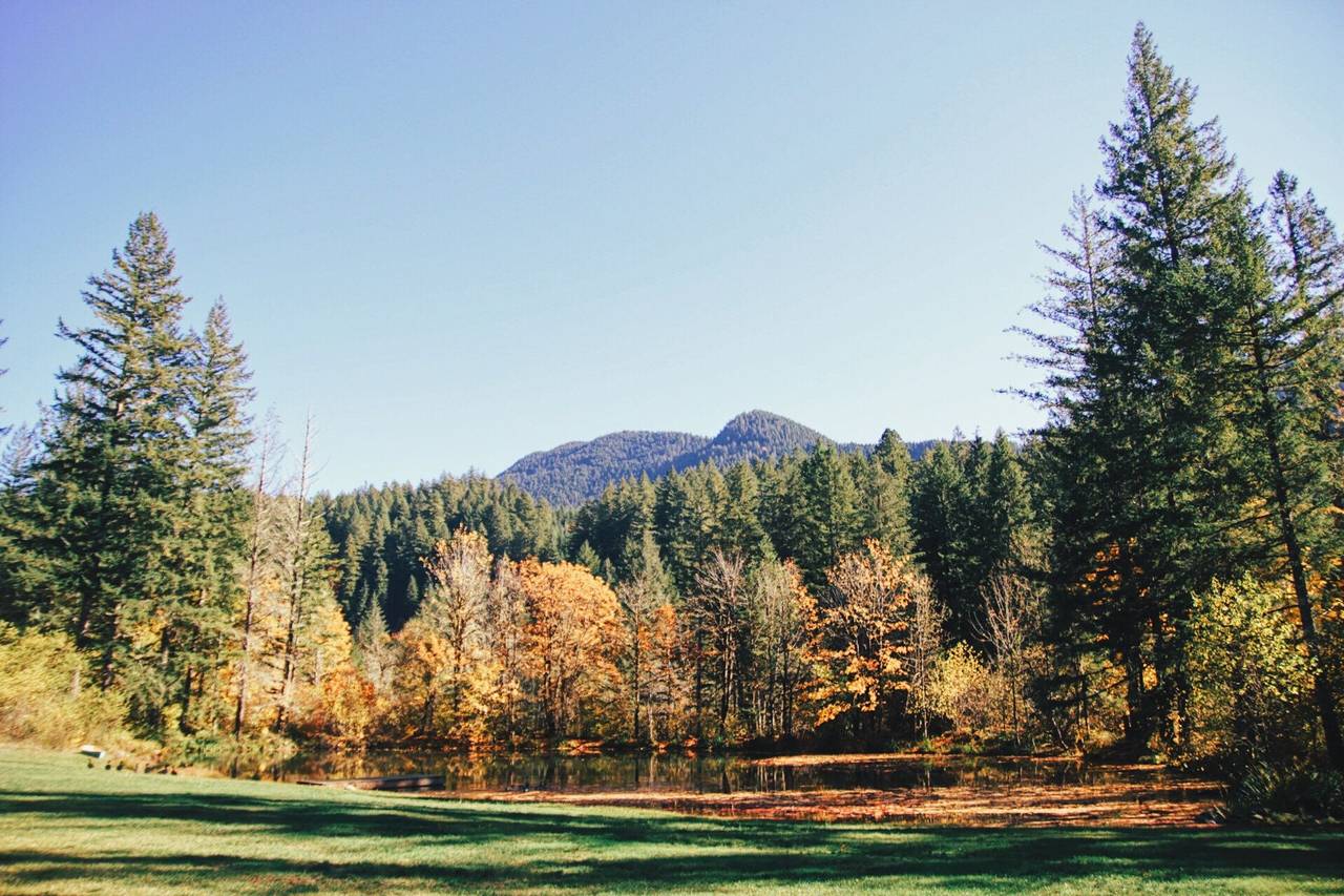 Camp Cascade - Venue - Lyons, OR - WeddingWire