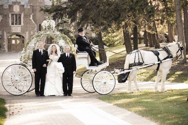 Jim & Becky's Horse & Carriage Service