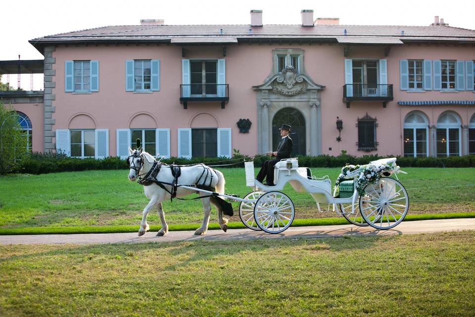 Jim & Becky's Horse & Carriage Service