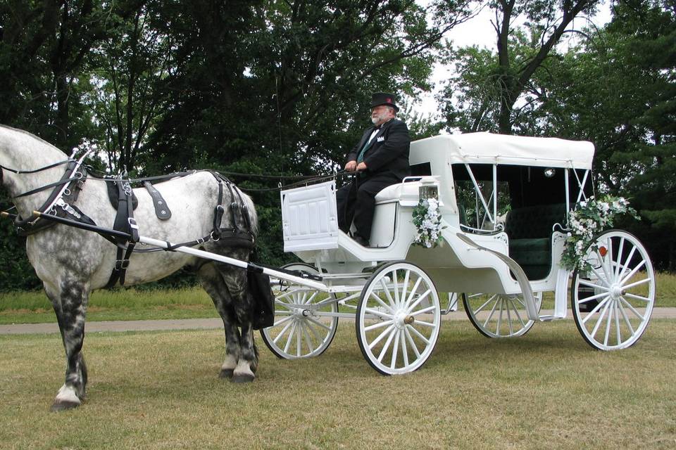 Jim & Becky's Horse & Carriage Service