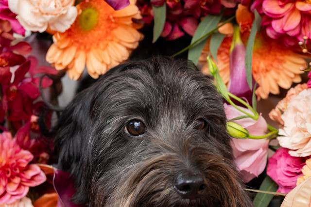 Sacramento Wedding Flowers