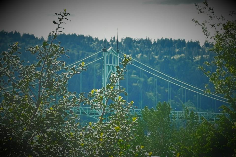 View of St Johns Bridge