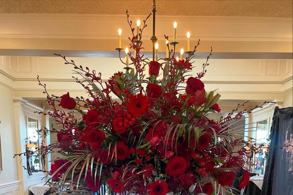 Elegant Bloom Designs