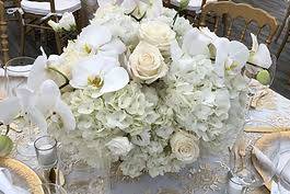Elegant Bloom Designs