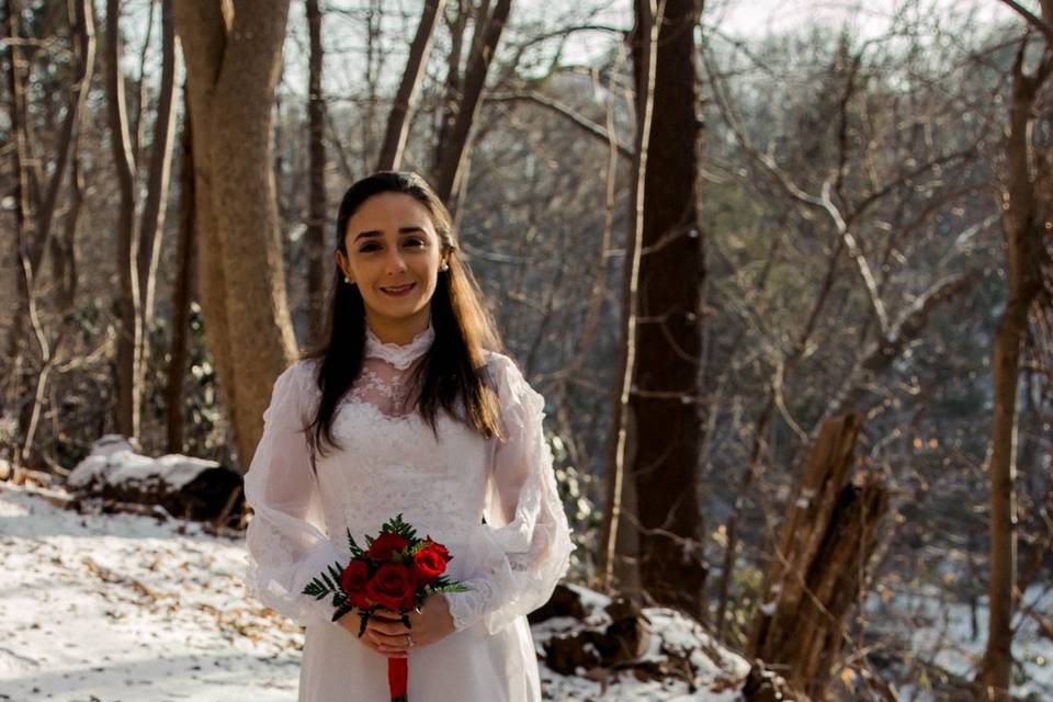 Winter Bridal