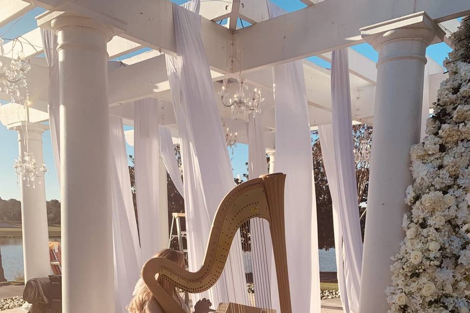 Ritz-Carlton wedding proposal