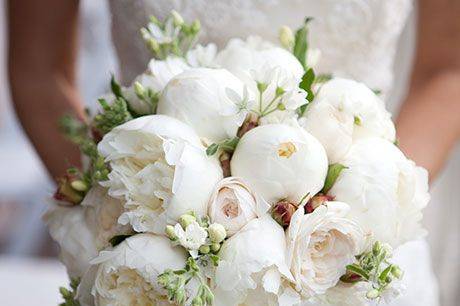 White peonies