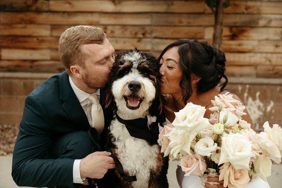 Of course, bring the pups!