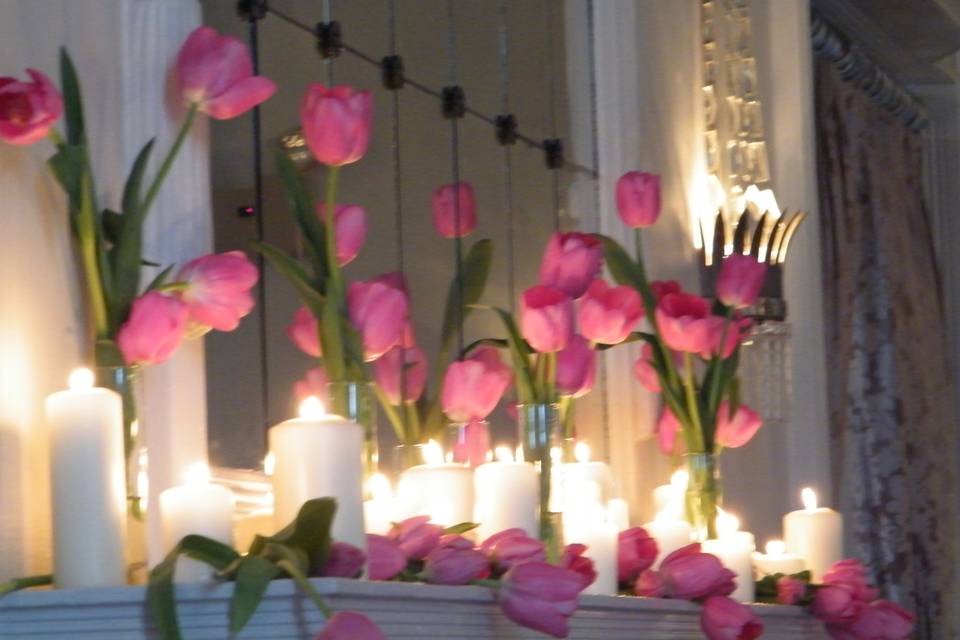 Tulips Floral Design Studio