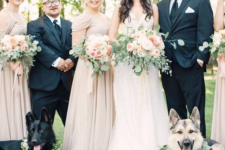 Dogs in wedding party