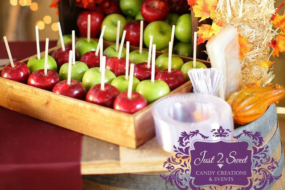 Photo Credit: Rebecca Rivera PhotographyBranding Watermark of Just 2 Sweet Candy Creations & Events