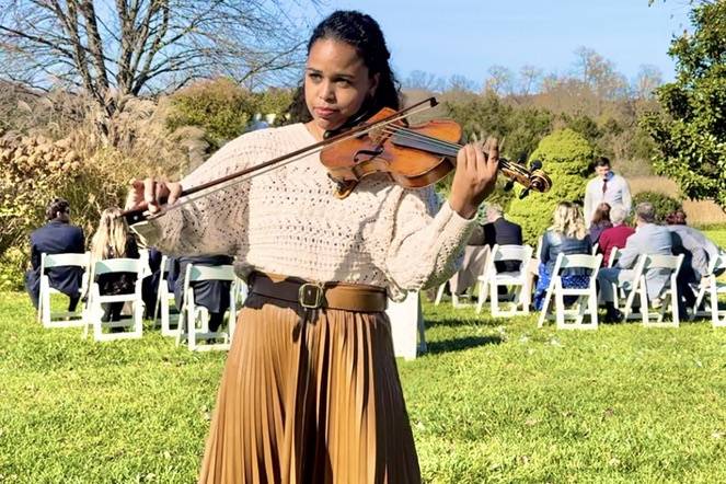 Elegant Fiddle
