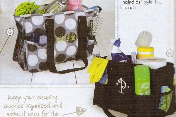 Birthday Giveaway #16: Thirty-One Organizing Bags