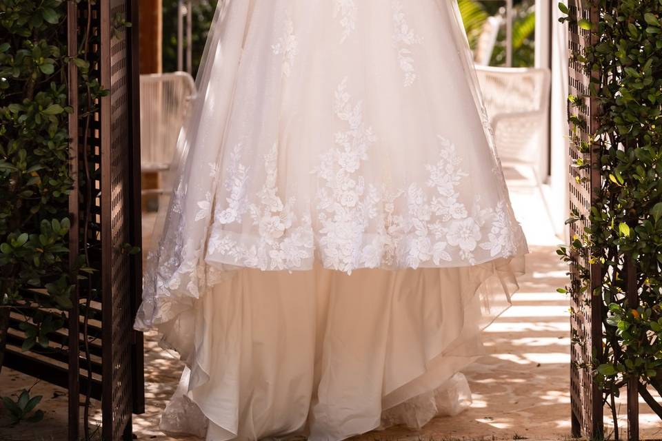 The Dress