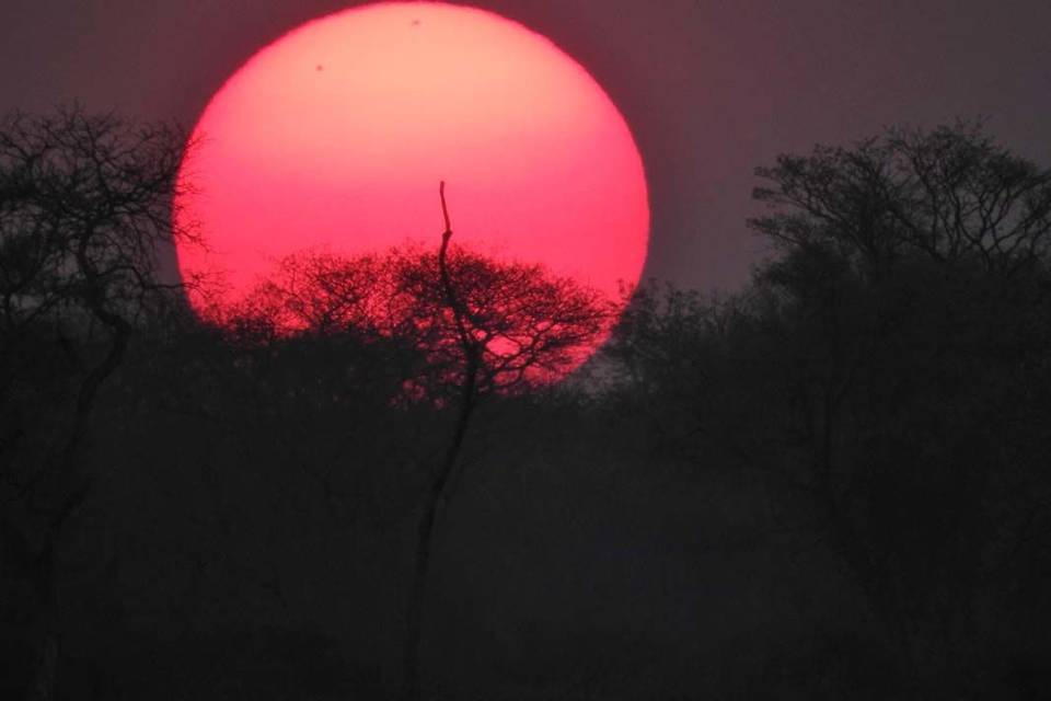 Sunset in Zimbabwe