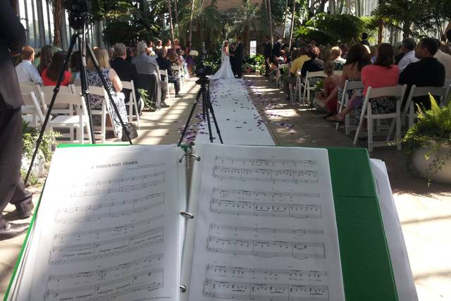 Wedding couple