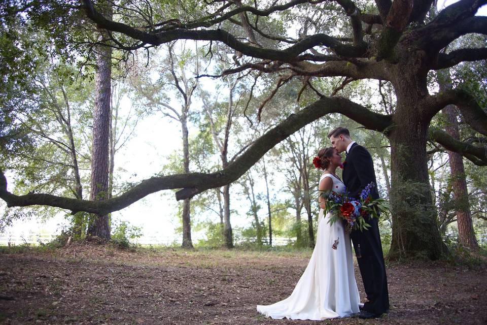 Live Oak Plantation