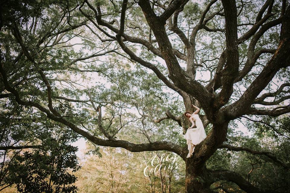 Live Oak Plantation