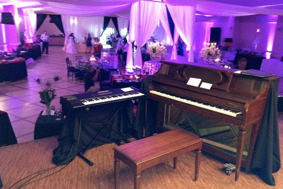 Sid Entertainment-Solo Contemporary Pianist. Wedding Ceremony Music