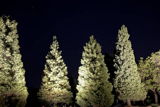 Arosa Pines