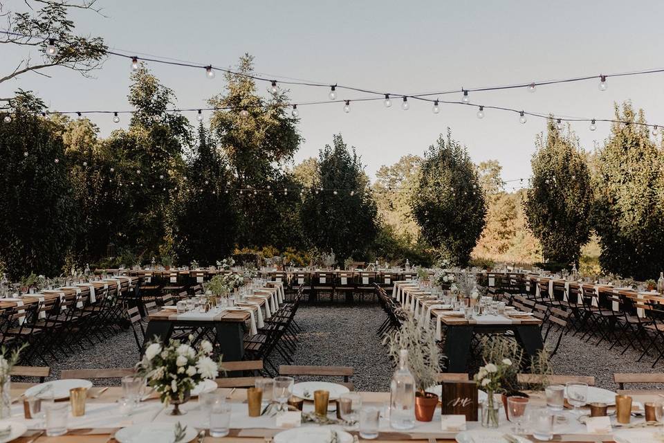 Reception under the stars