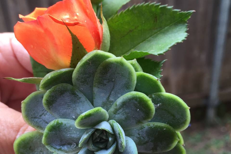 Succulent boutenniere