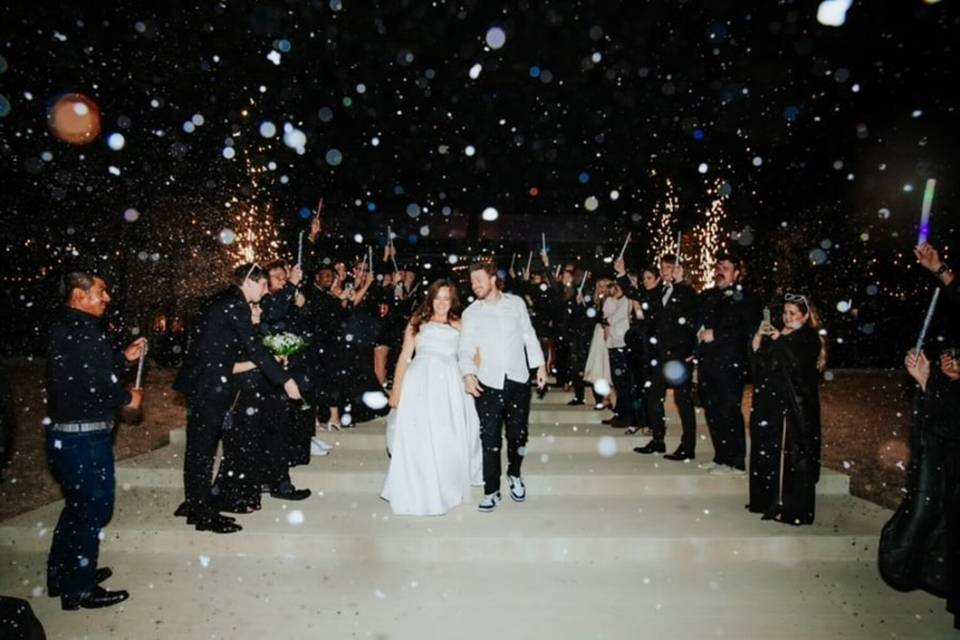 The Delanie Venue