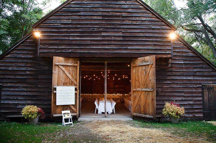 Ilene Squires Photography