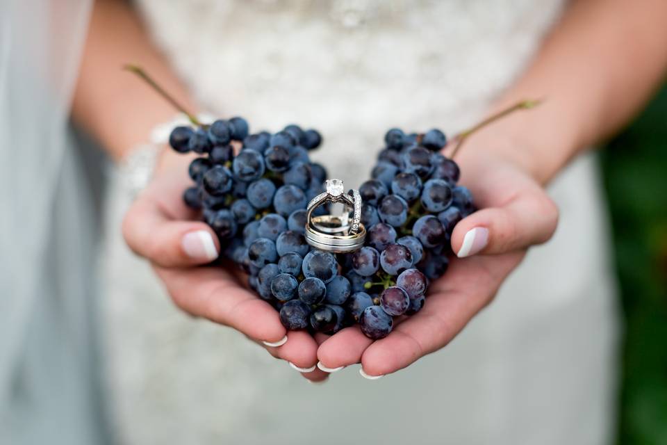 https://cdn0.weddingwire.com/vendor/809680/3_2/960/jpg/wedding-grapes-with-rings_51_86908-167598355444110.jpeg