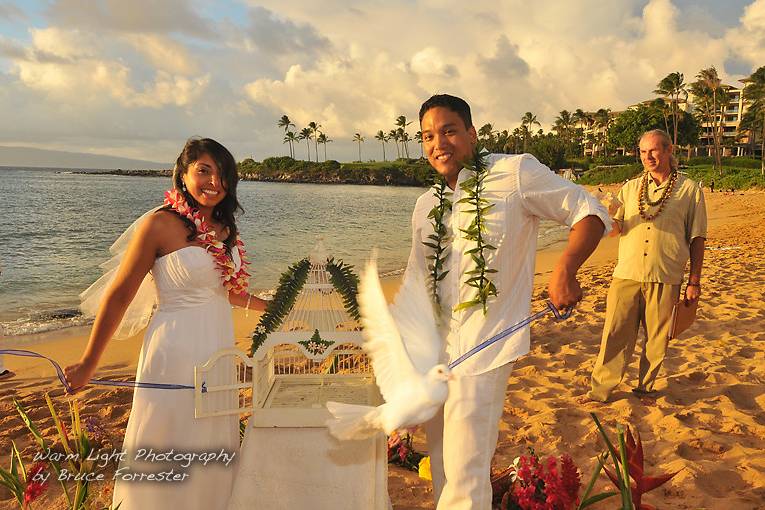 Aloha Fun Weddings