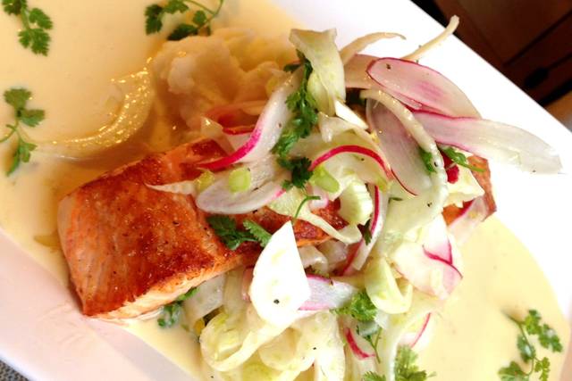 Salmon