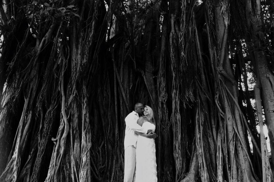 Jeanine Glenn Photography