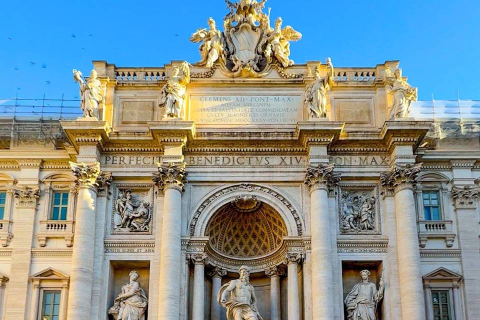 FareNia Travels
